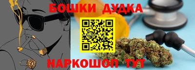 шишки Партизанск