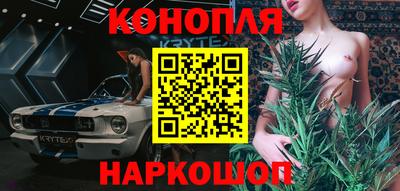 шишки Партизанск
