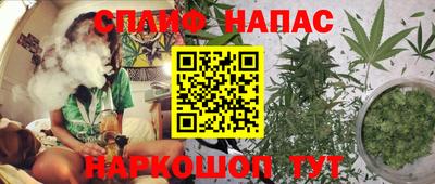 шишки Партизанск