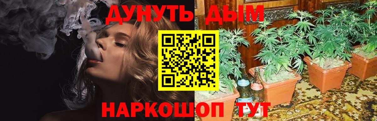 Бошки Шишки тримм  Марихуана конопля  Вход с VPN  Сергиев Посад 